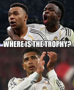 Is the trophy funny memes