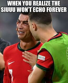 Echo forever memes