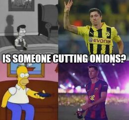 Onions funny memes