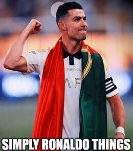 Simply ronaldo memes