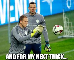 For my next trick memes