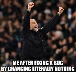 Fixing a bug memes