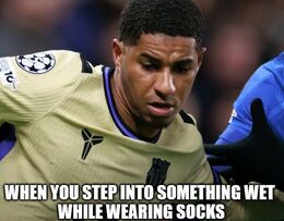 Wet while memes