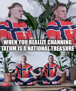 Tatum memes