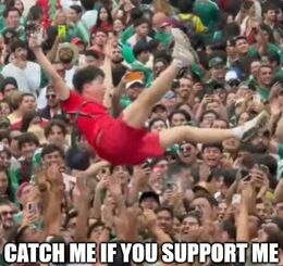If you support me memes