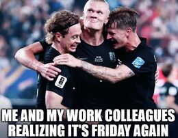 Work colleagues funny memes