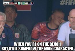 Bench but memes