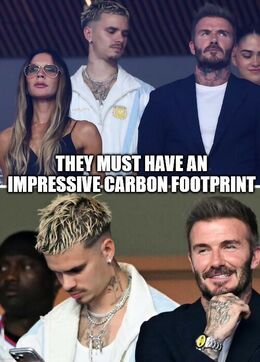Carbon footprint memes