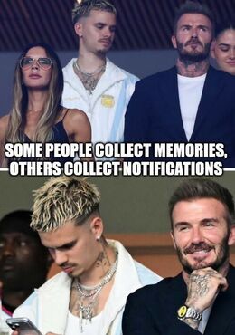 Others collect memes