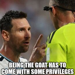 Privileges memes