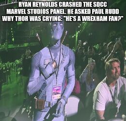 Reynolds memes
