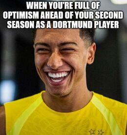 Optimism memes