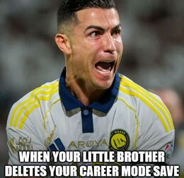 Brother deletes memes