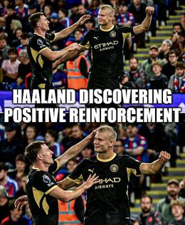 Reinforcement memes