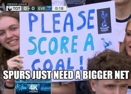 Bigger net memes