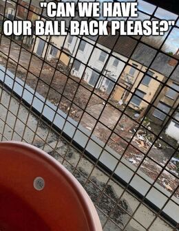 Our ball memes
