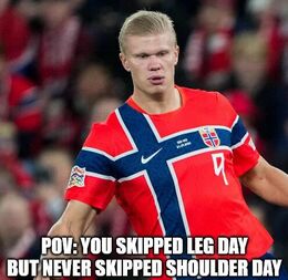 Shoulder memes