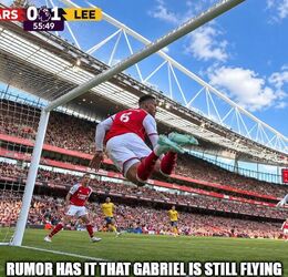 Still flying memes