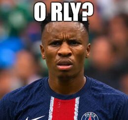 O rly funny memes