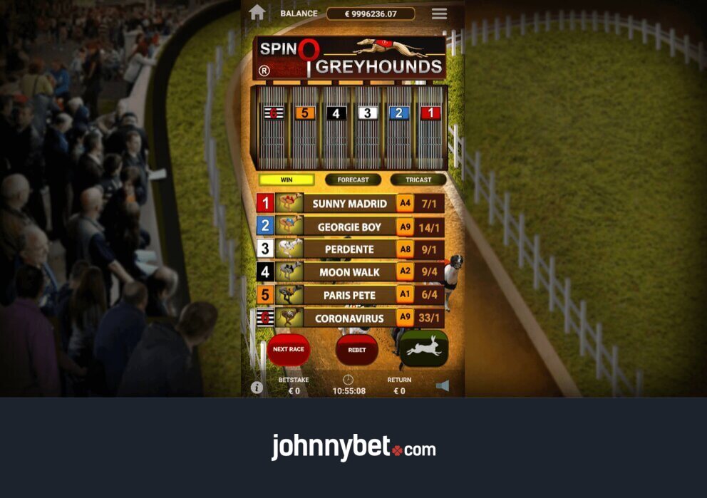 Apuestas de Carreras de Galgos Online