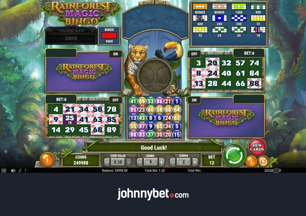 Jogos de Bingo Online Valendo Dinheiro Real em 2025