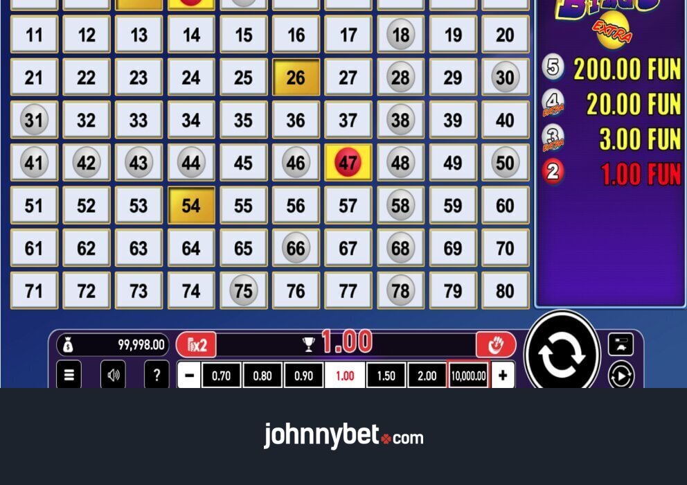 Bingo netissä