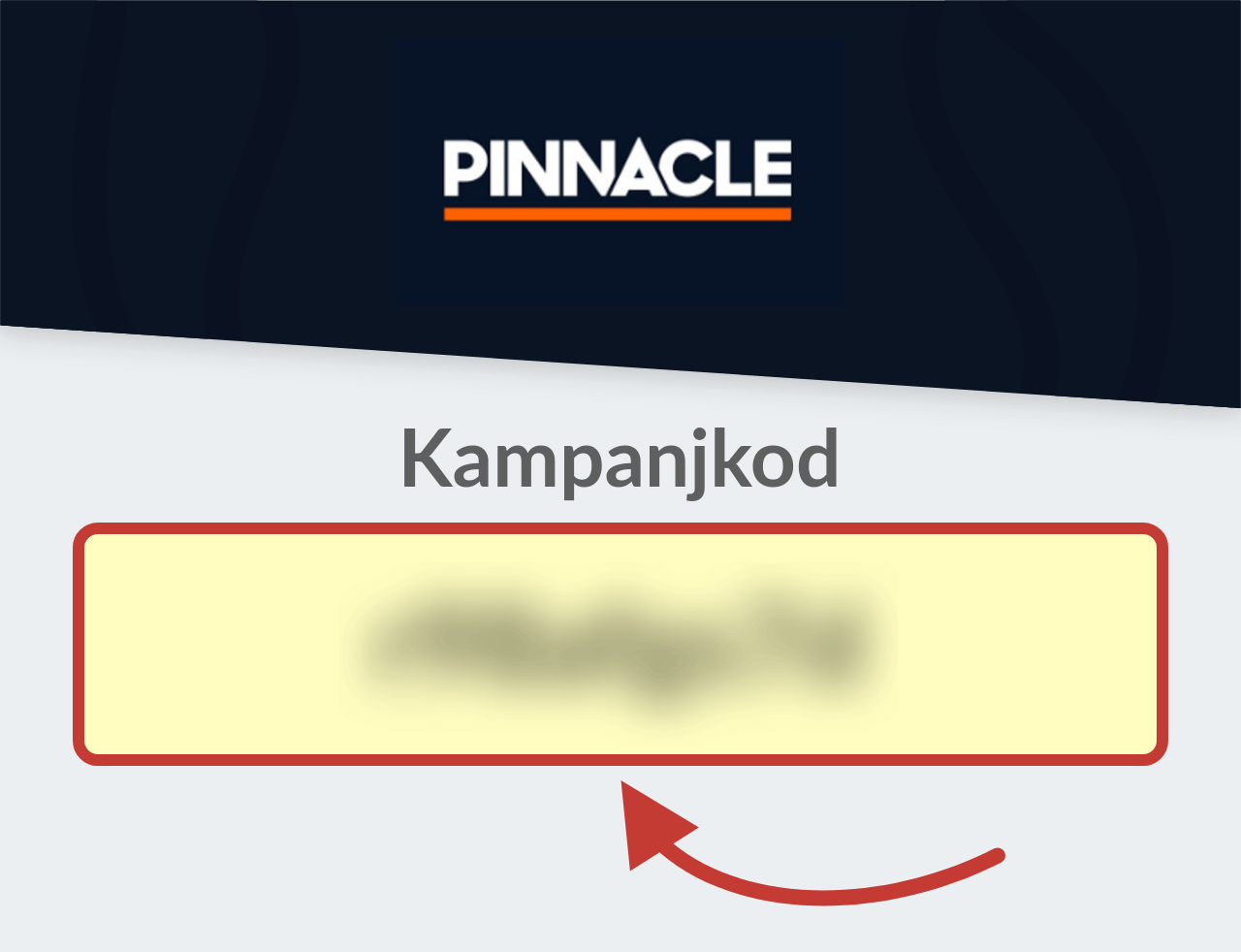 Pinnacle Kampanjkod