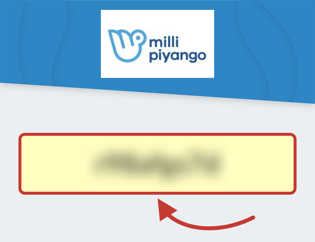 Milli Piyango Online Promosyon Kodu