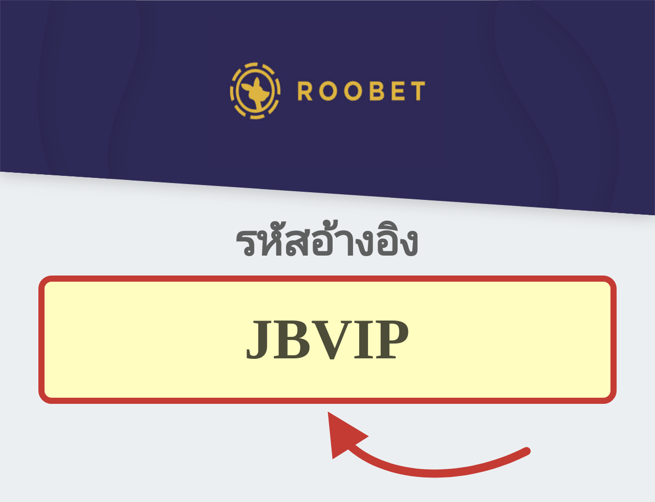รหัสอ้างอิง Roobet