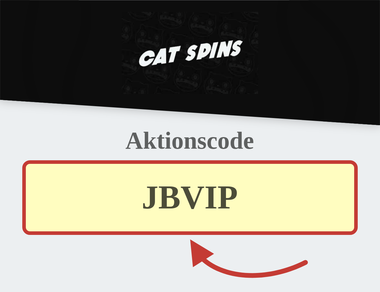 Cat Spins Aktionscode