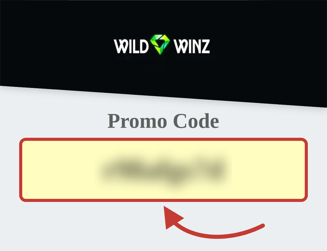 WildWinz Promo Code