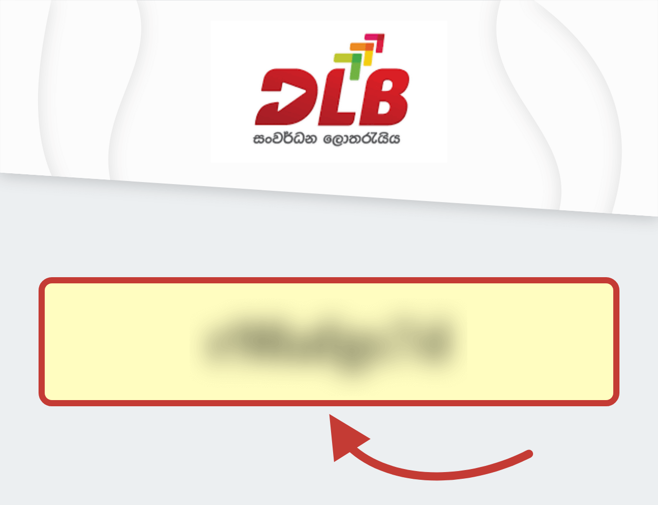 Development Lotteries Board Promo Code