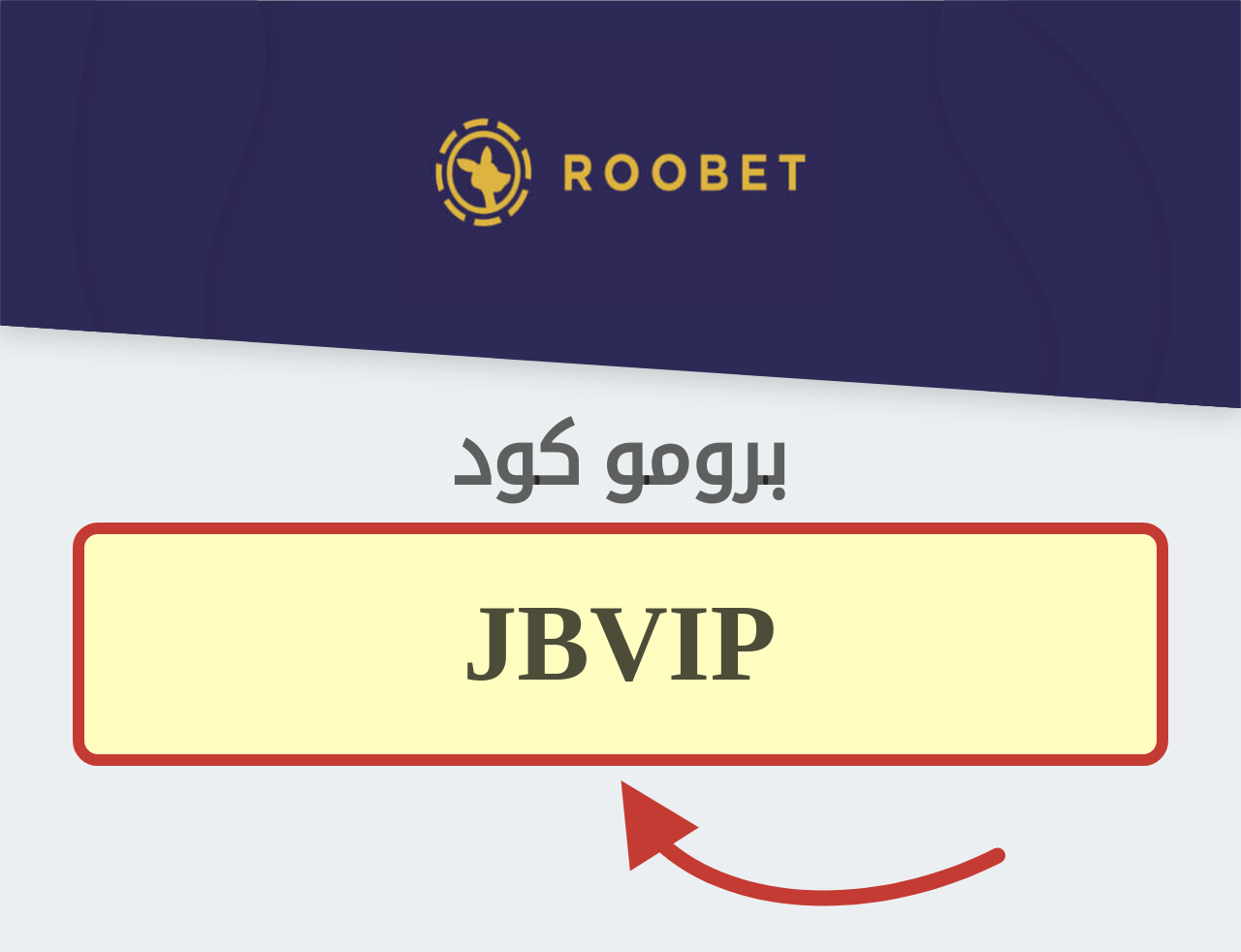 بروموكود Roobet