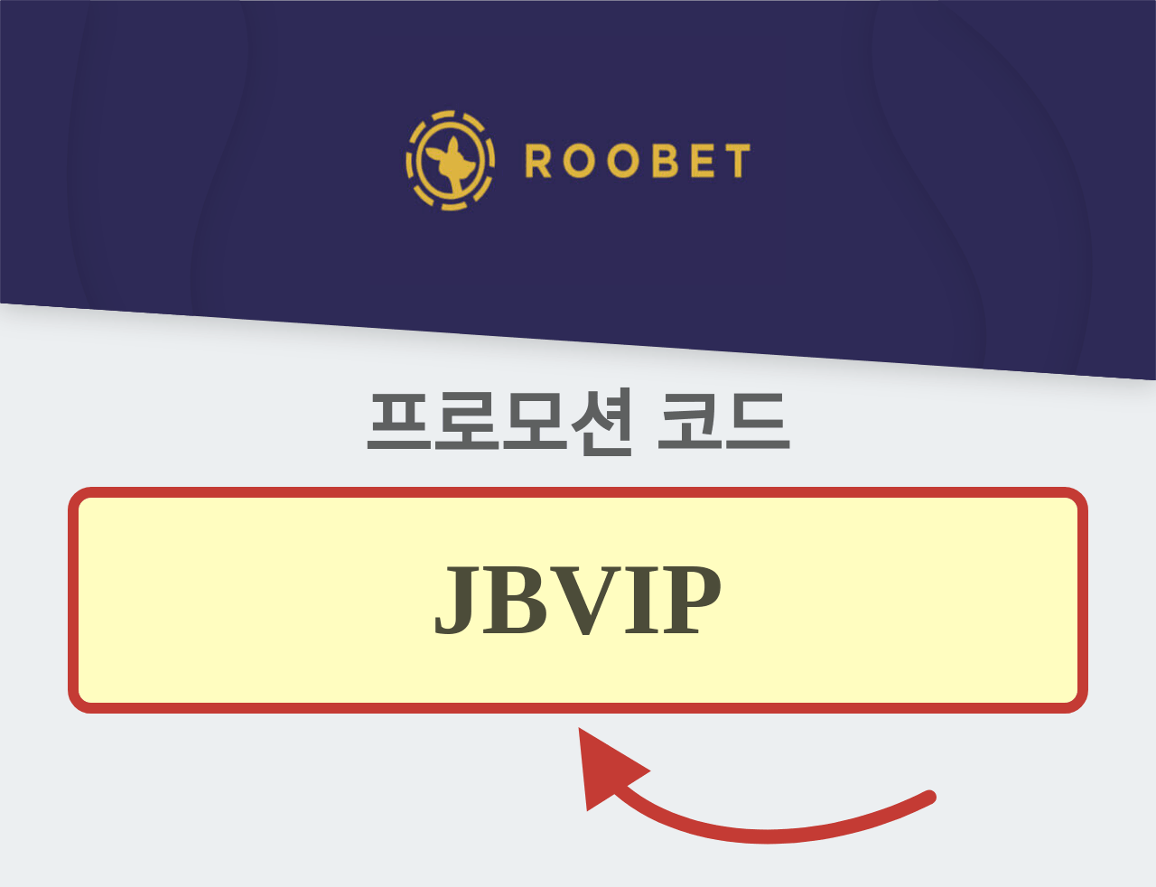 Roobet 프로모션 코드