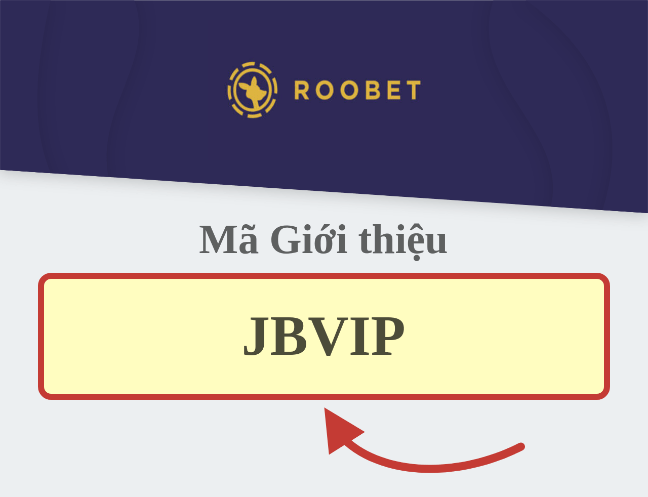 Mã giới thiệu Roobet