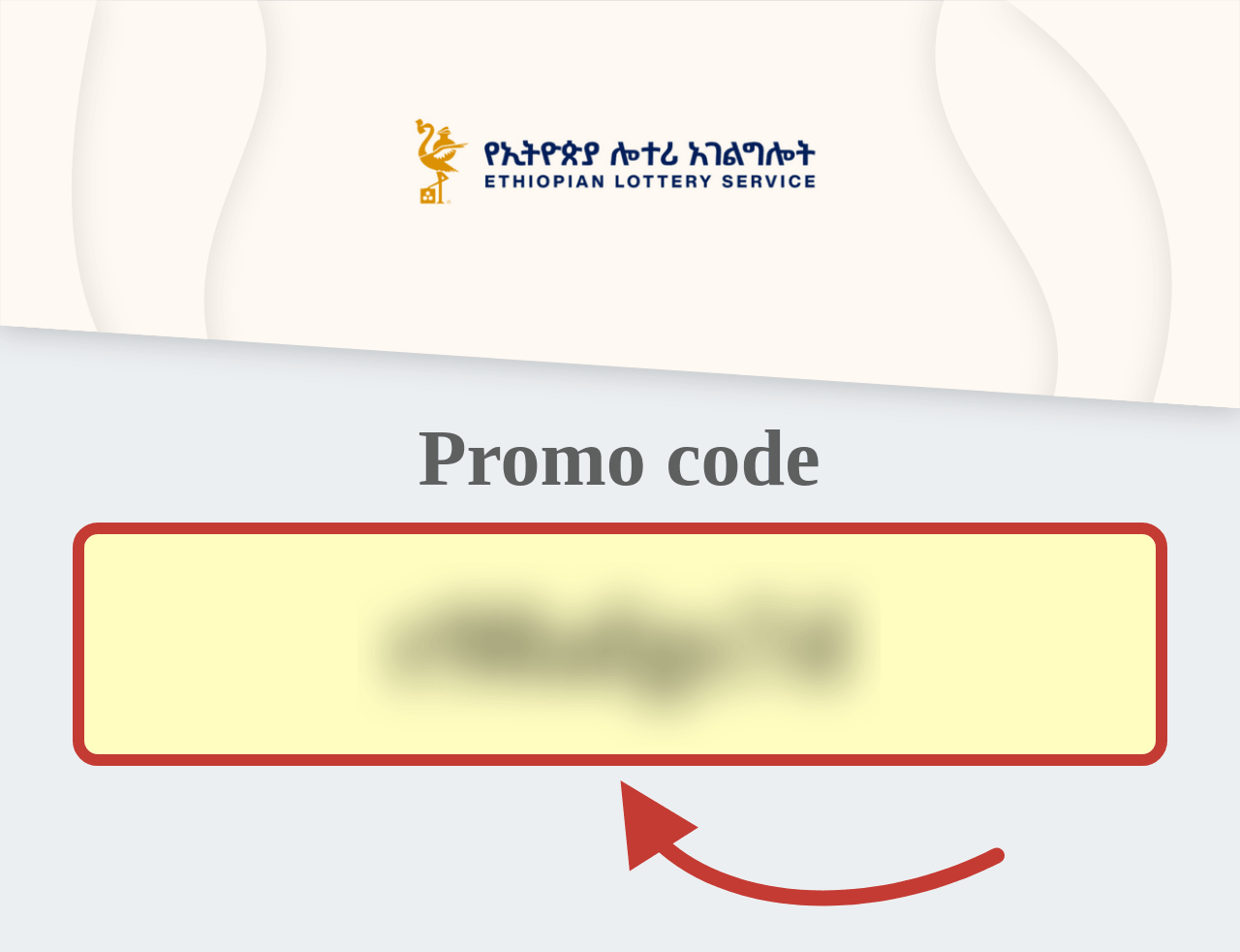 Ethiopian Lottery Service Promo Code