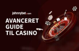 Avanceret guide til casino