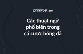 Cac thuat ngu pho bien trong ca cuoc bong da