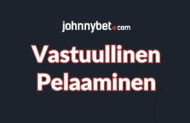 Pelaa vastuullisesti netissa