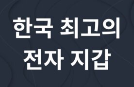 Hanguk choegoui jeonja jigap