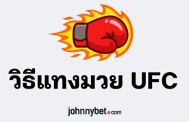 Ufc betting guides