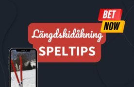 Langdskidakning tips for bettare