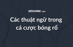 Cac thuat ngu trong ca cuoc bong ro mien phi