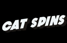 Cat spins