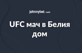 Ufc match v beliya dom