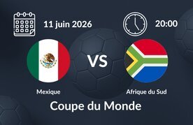 Prono mexique afrique du sud