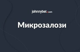 Mikrozalozi v internet