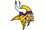 Minnesota vikings