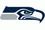 Seattle seahawks