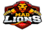 Mad lions e.c.logo square